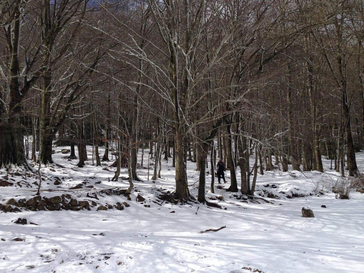 Apartaments Rural Montseny Gualba de Dalt المظهر الخارجي الصورة