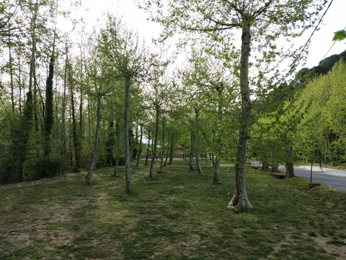 Apartaments Rural Montseny Gualba de Dalt المظهر الخارجي الصورة